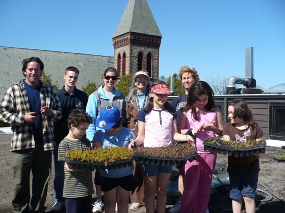 Creating a Green Roof